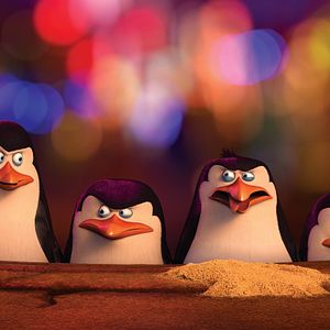 Foto Os Pinguins de Madagascar