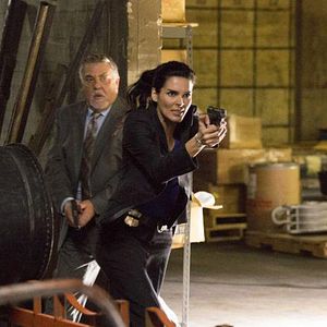 Foto Angie Harmon