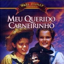 Foto Meu Querido Carneirinho