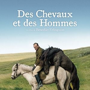 Foto Cavalos e Homens