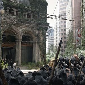 Foto Planeta dos Macacos: O Confronto