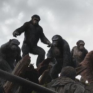 Foto Planeta dos Macacos: O Confronto