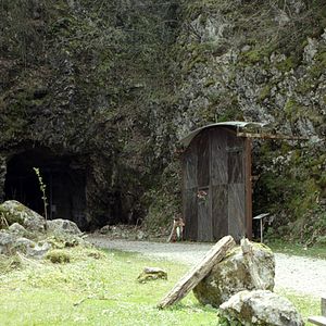 Foto Sobrevivi ao Holocausto