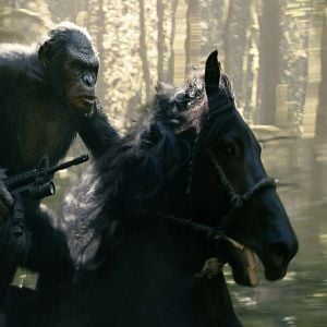 Foto Planeta dos Macacos: O Confronto