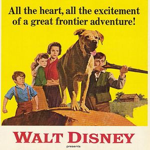 Foto Meu Melhor Companheiro