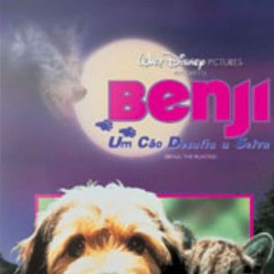 Foto Benji - Um Cão Desafia a Selva