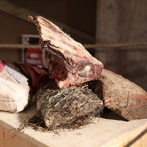 Foto Steak (R)evolution