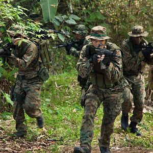 Foto Operação Rogue