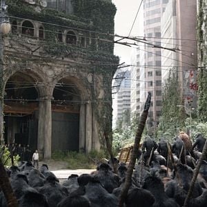 Foto Planeta dos Macacos: O Confronto