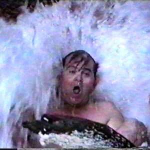 Foto O Criador da Selva