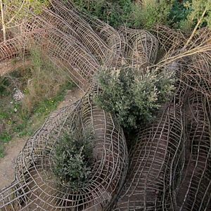 Foto O Criador da Selva