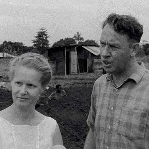 Foto Sobre a Violência