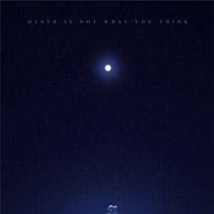 Foto The Midnight Swim