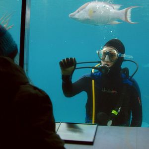 Foto Canção da Floresta