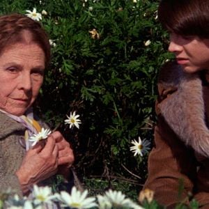 Foto Ensina-me a Viver