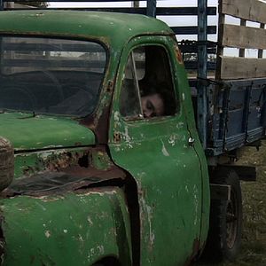 Foto Dromedário no Asfalto