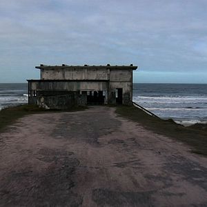 Foto Dromedário no Asfalto