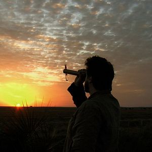 Foto Dromedário no Asfalto