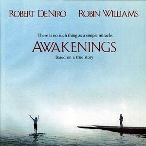 Foto Tempo de Despertar