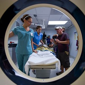 Foto Winter, o Golfinho 2