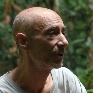 Foto Canção da Floresta