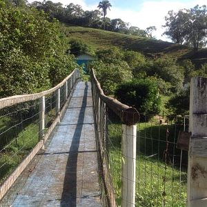 Foto Oração do Amor Selvagem