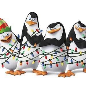 Foto Os Pinguins de Madagascar