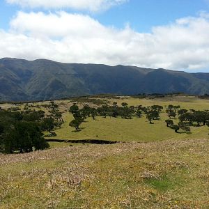 Foto Esvaziando os Céus