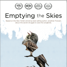 Foto Esvaziando os Céus