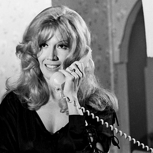 Foto Uma Rosa com Amor