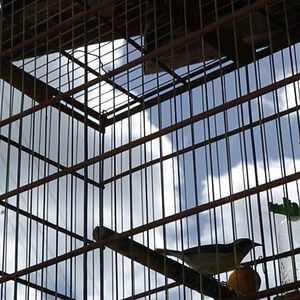 Foto Porque Temos Esperança