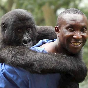Foto Virunga