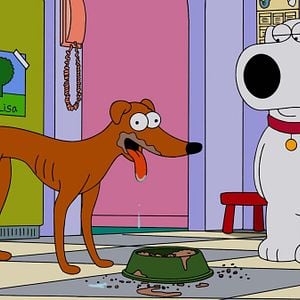 Foto Uma Família da Pesada