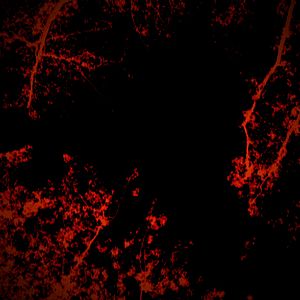 Foto Vers Madrid - The Burning Bright