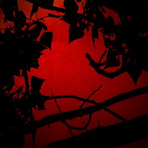 Foto Vers Madrid - The Burning Bright