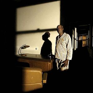 Foto Cavalo Dinheiro