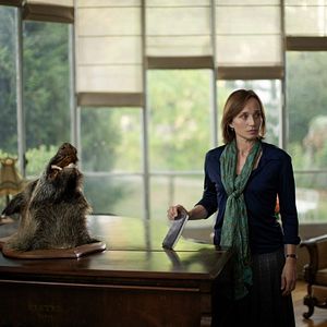 Foto Minha Querida Dama