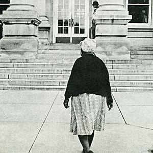 Foto Um verão de liberdade