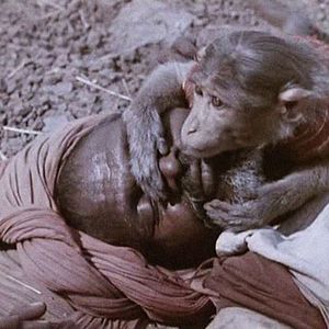 Foto Índia: Matri Bhumi