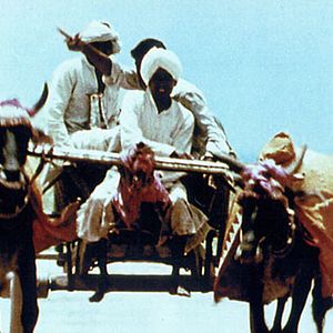 Foto Índia: Matri Bhumi