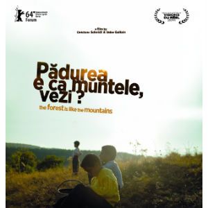 Foto A Floresta é como as Montanhas