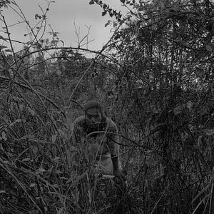 Foto Do Que Vem Antes