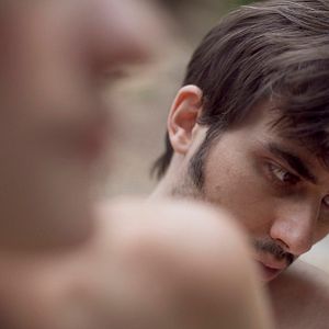 Foto A Selva Interior