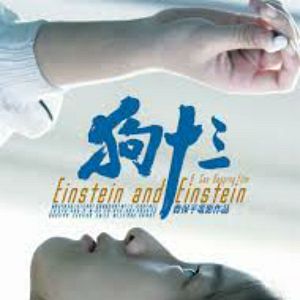 Foto Einstein e Einstein