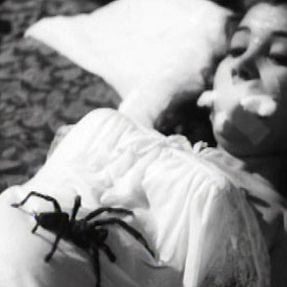 Foto Esta Noite Encarnarei no Teu Cadáver