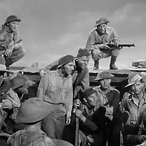 Foto Ratos do Deserto