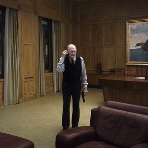 Foto Um Pombo Pousou num Galho Refletindo sobre a Existência