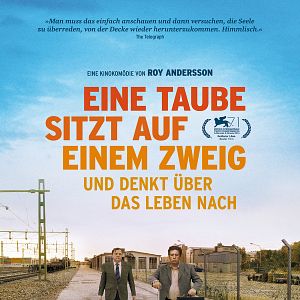 Foto Um Pombo Pousou num Galho Refletindo sobre a Existência