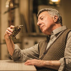 Foto Um Amor de Estimação