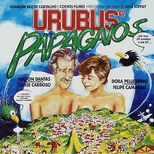 Foto Urubus e Papagaios